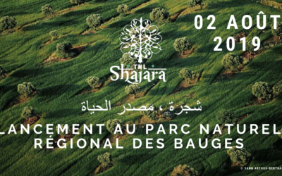 Création mondiale TNL Shajara by YGP – Parc Naturel des Bauges